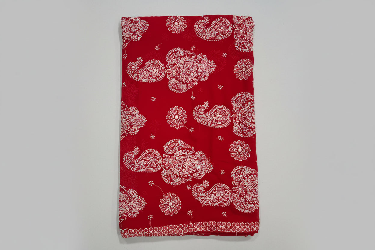 Georgette Chikankari Saree with Intricate Pallu Work